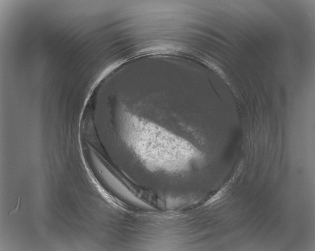 X0000054371034200508121535