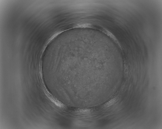 X0000054371035200508121535