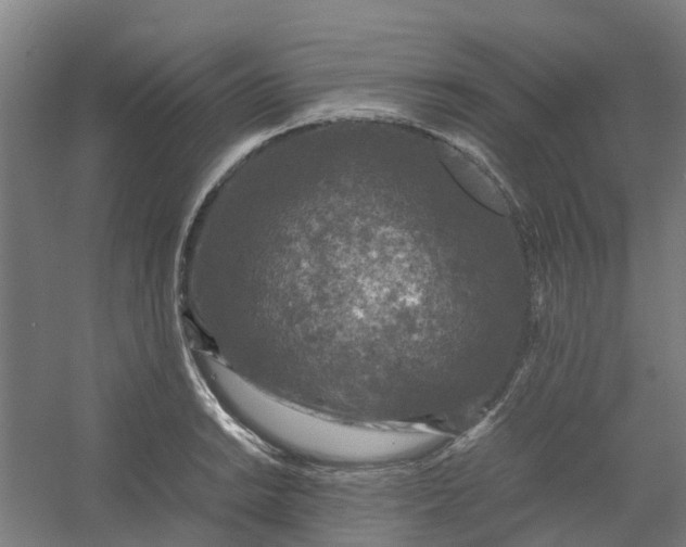 X0000054371038200508121535