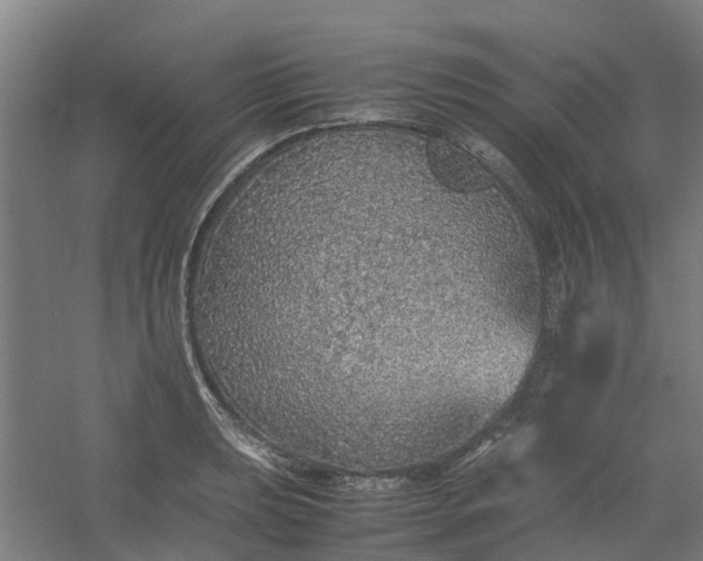 X0000054371039200508121535