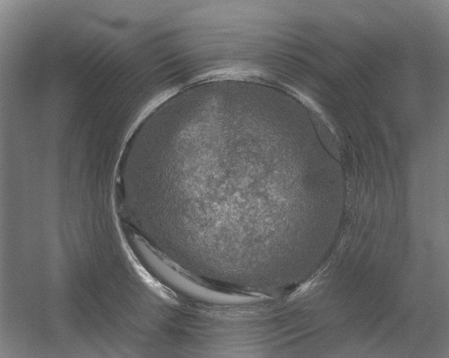 X0000054371042200508121535