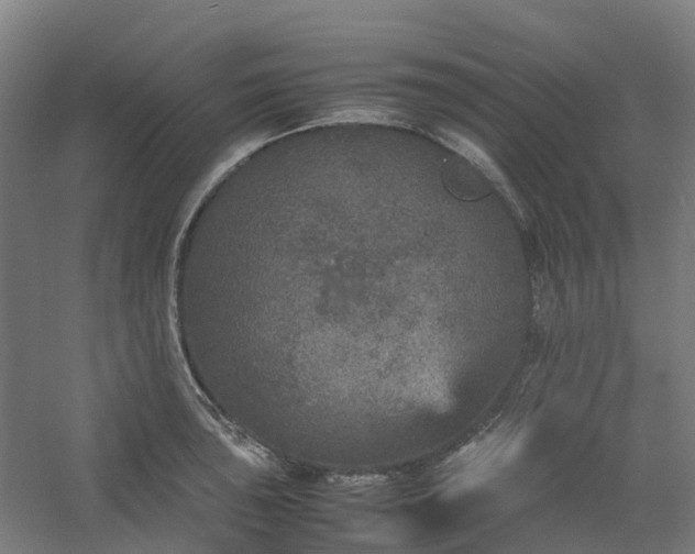 X0000054371043200508121535