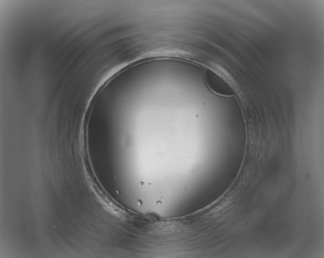 X0000054371044200508121535