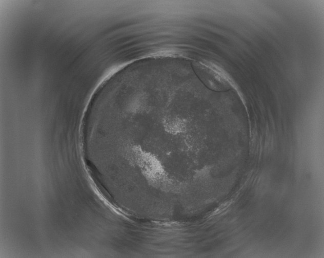 X0000054371045200508121535