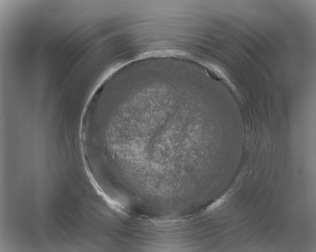 X0000054371046200508121535