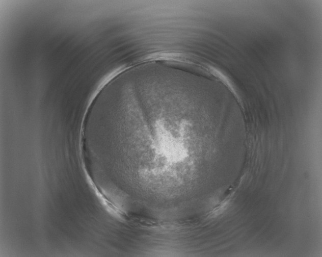 X0000054371050200508121535