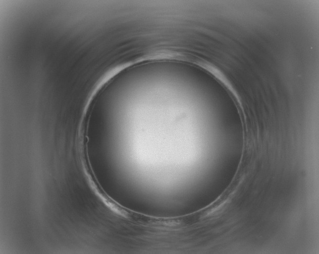 X0000054371053200508121535