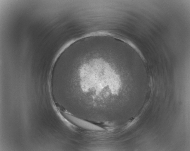 X0000054371054200508121535