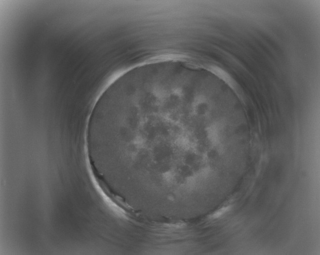 X0000054371055200508121535