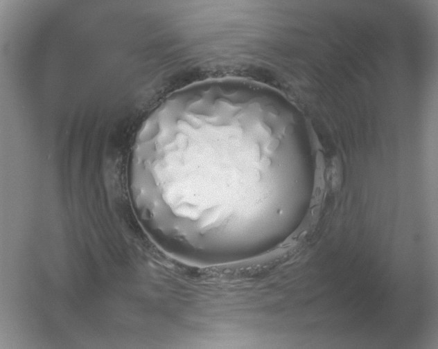 X0000054371059200508121534