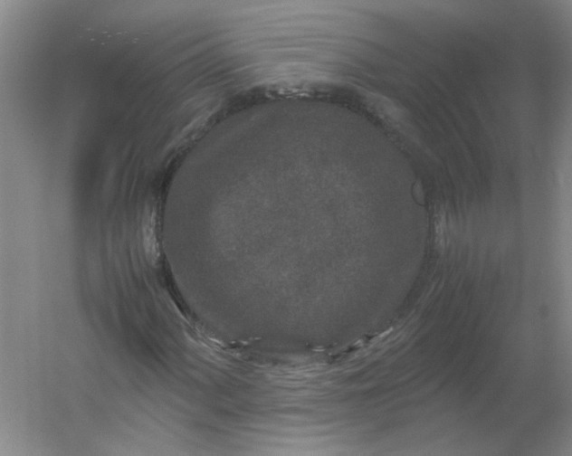 X0000054371060200508121534