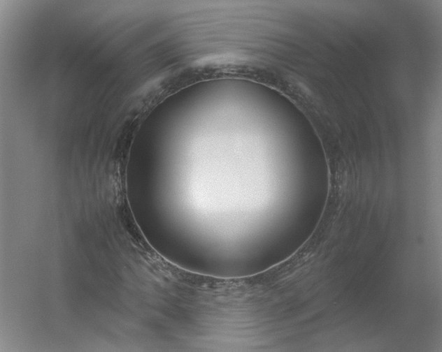 X0000054371062200508121534