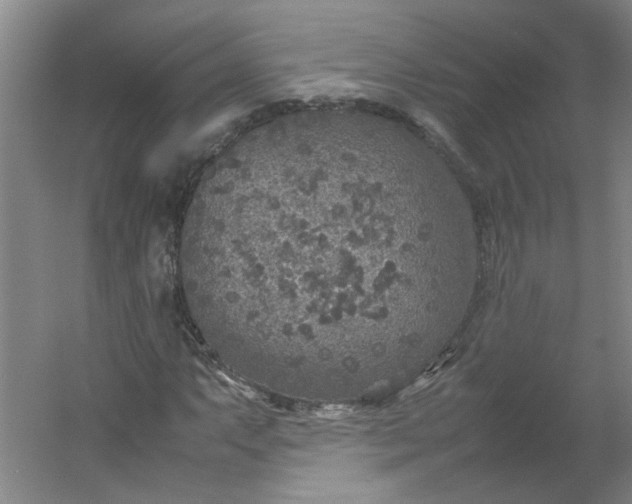 X0000054371063200508121534