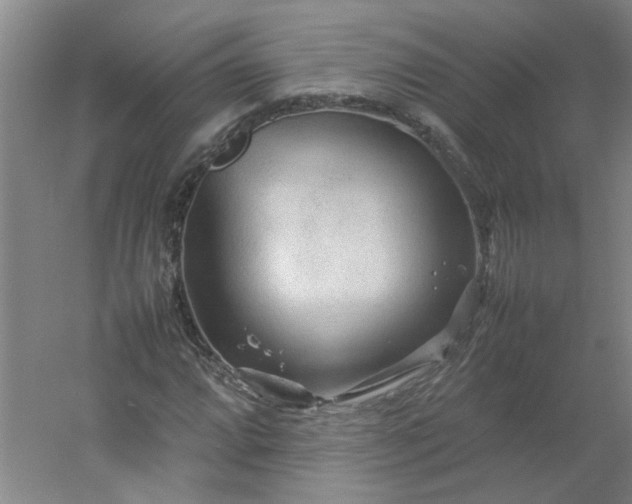 X0000054371064200508121534