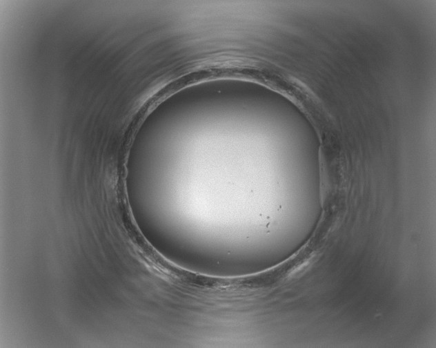 X0000054371065200508121534