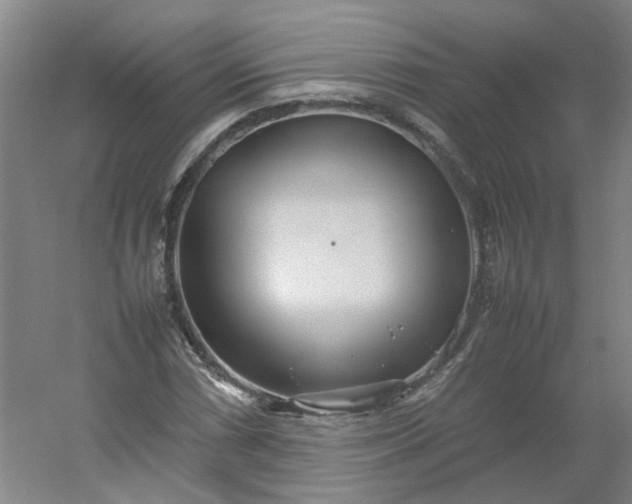 X0000054371066200508121534