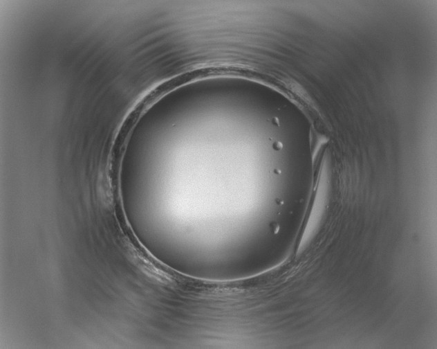 X0000054371068200508121534