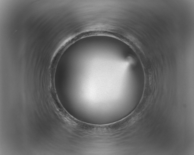 X0000054371069200508121534