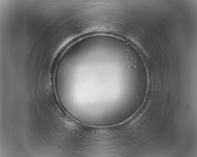 X0000054371070200508121534