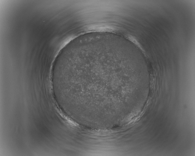 X0000054371071200508121534