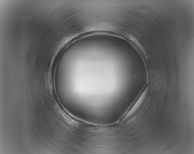 X0000054371072200508121534