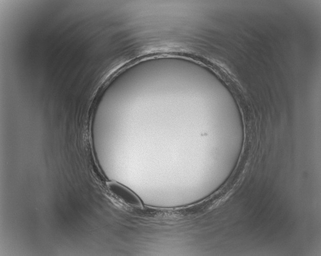 X0000054371073200508121534