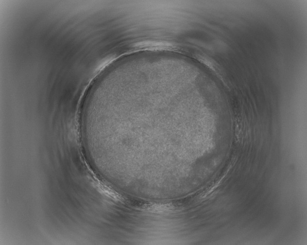 X0000054371074200508121534