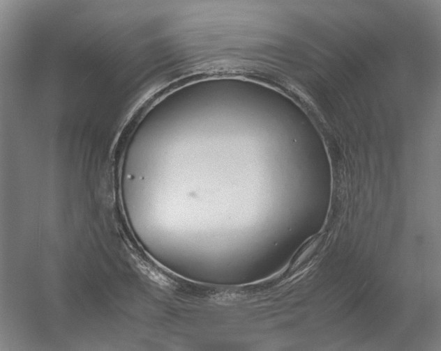 X0000054371075200508121534