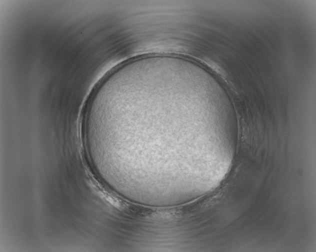 X0000054371078200508121534