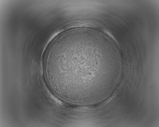 X0000054371079200508121534