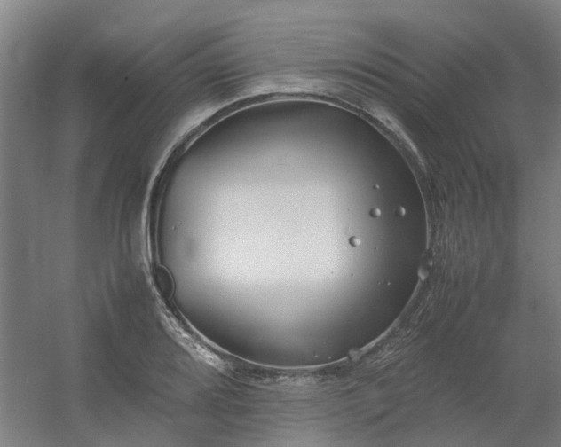 X0000054371080200508121534