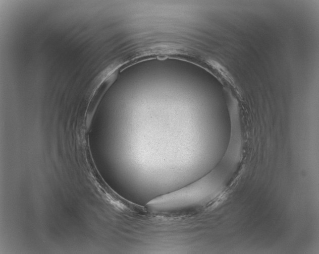 X0000054371081200508121534