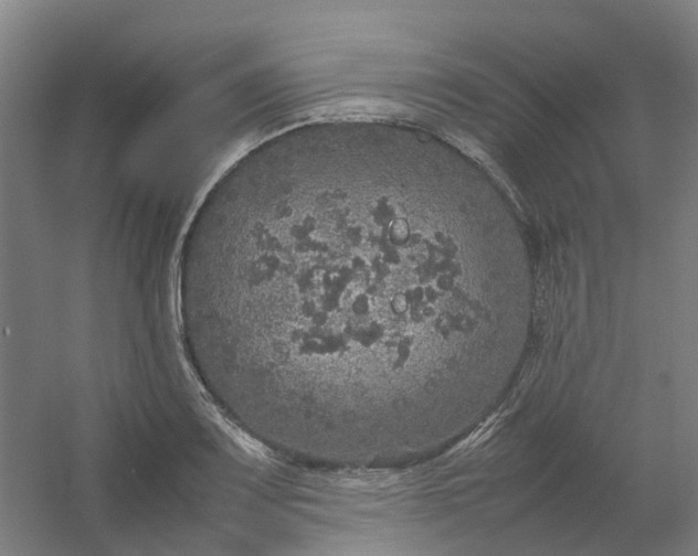 X0000054371083200508121534