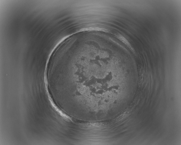 X0000054371084200508121534