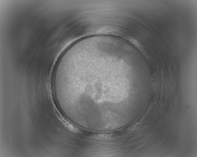 X0000054371086200508121534