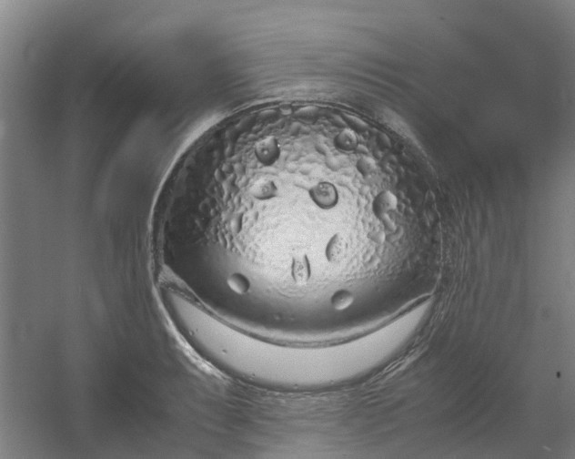 X0000054371087200508121534