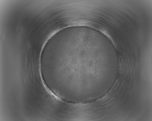 X0000054371088200508121534