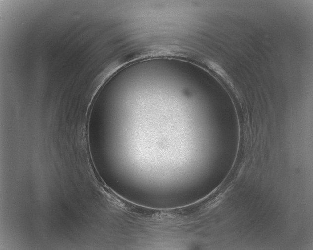 X0000054371089200508121534