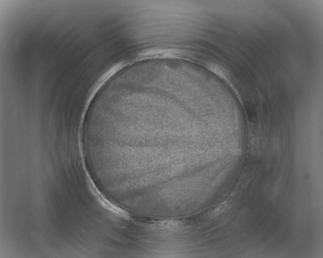 X0000054371090200508121534