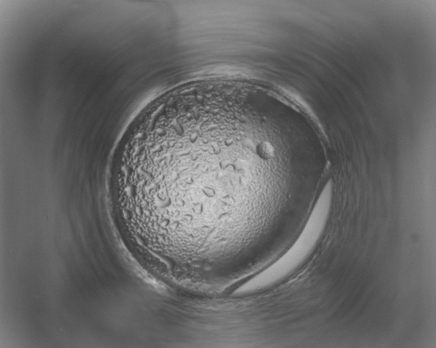 X0000054371091200508121534