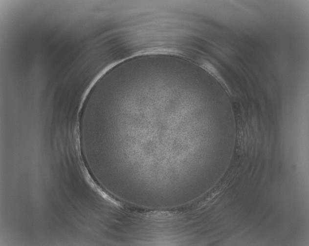 X0000054371092200508121534