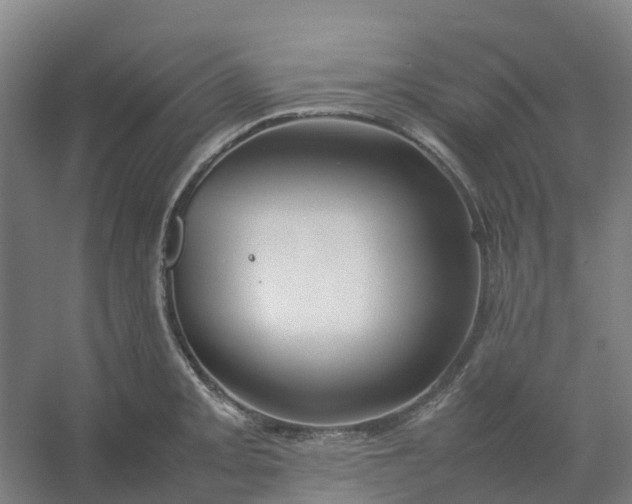 X0000054371093200508121534