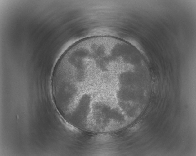 X0000054371094200508121534