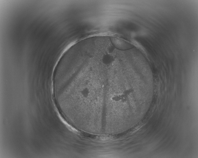 X0000054371095200508121534