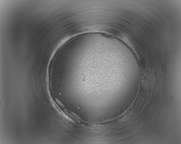 X0000054371096200508121534