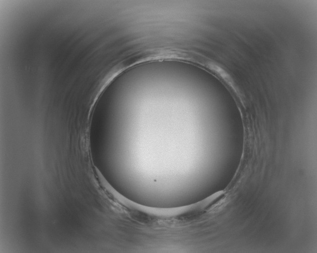 X0000054371097200508121534