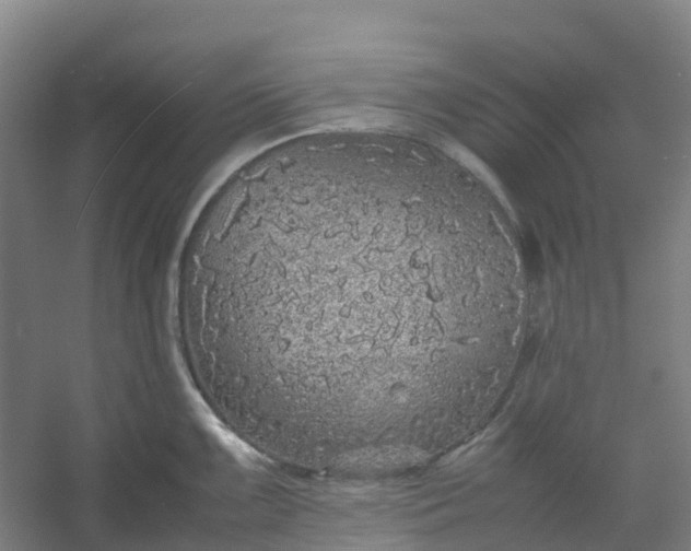 X0000054371099200508121534