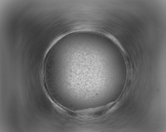 X0000054371101200508121534