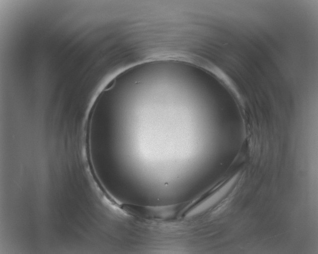 X0000054371102200508121534