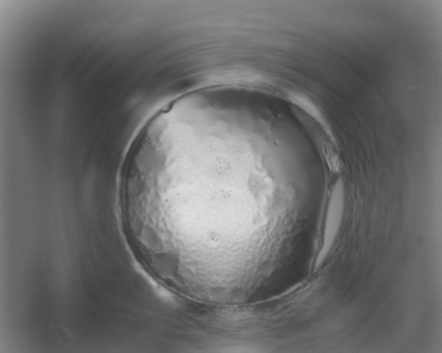 X0000054371103200508121533